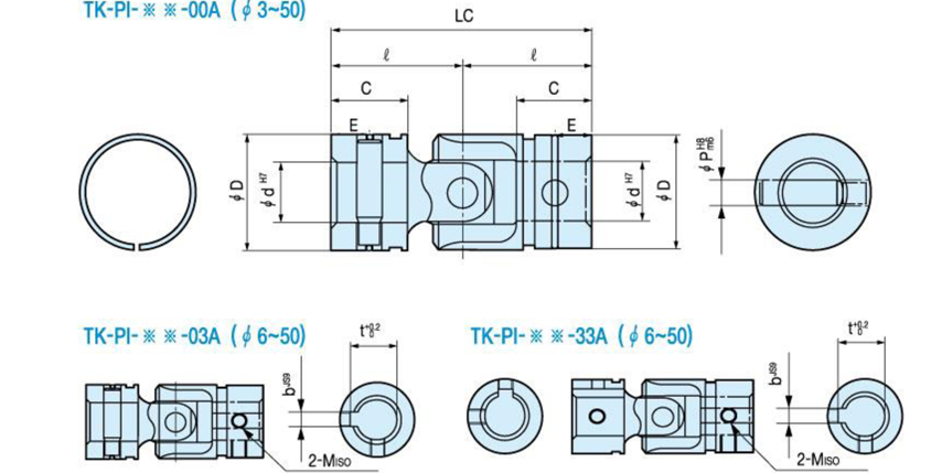TK-PI Type